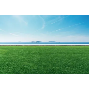 Natural Grass